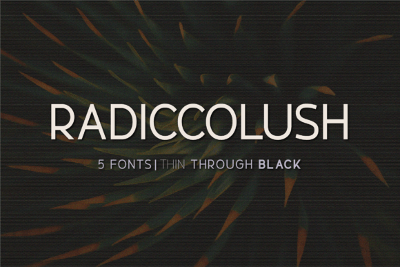 Why Radiccolush Is the Perfect Sans Serif Font for Modern Branding